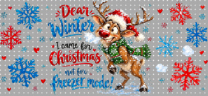 16oz Christmas-S  2667